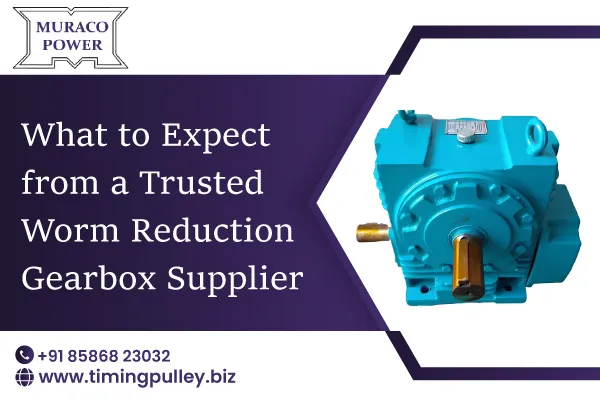 What to Expect from a Trusted Worm Reduction Gearbox Supplier