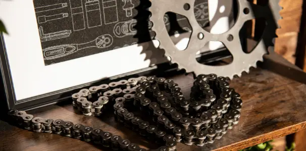 We have expert Team Member